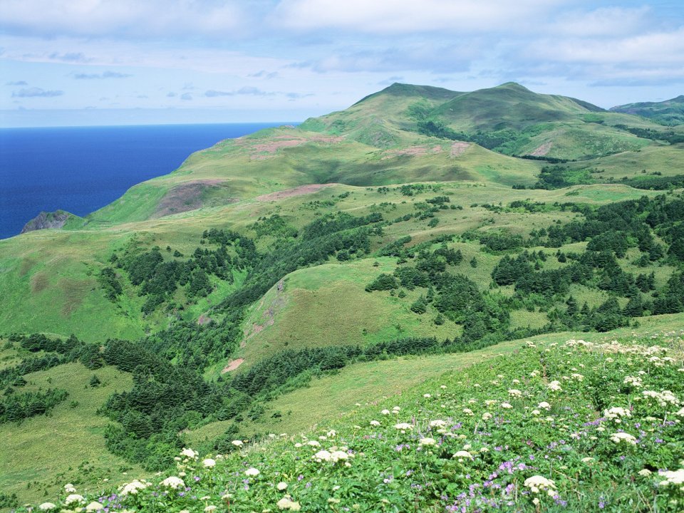 Japan-Hokkaido-Landscape-JF137_350A