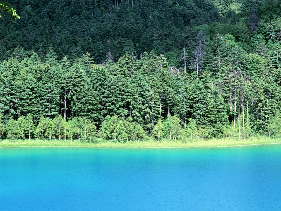 Japan-Hokkaido-Landscape-JF181_350A