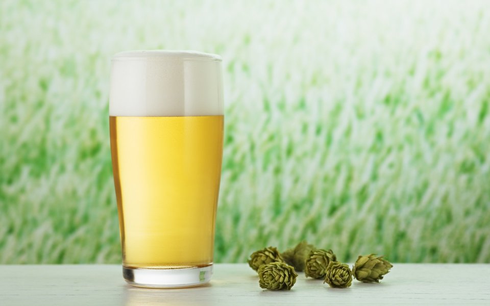 JW007_350A_glass_of_beer