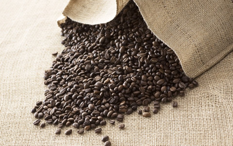 JW105_350A_coffee beans