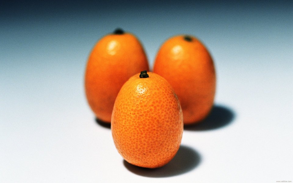 Kumquats, close-up