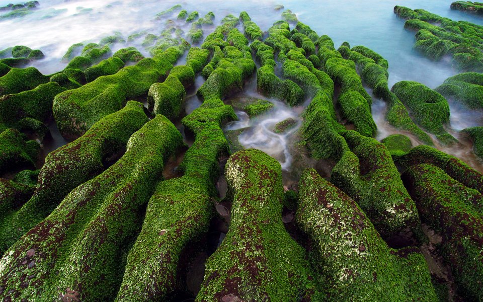Lao May in East-Northern Coast, Taiwan