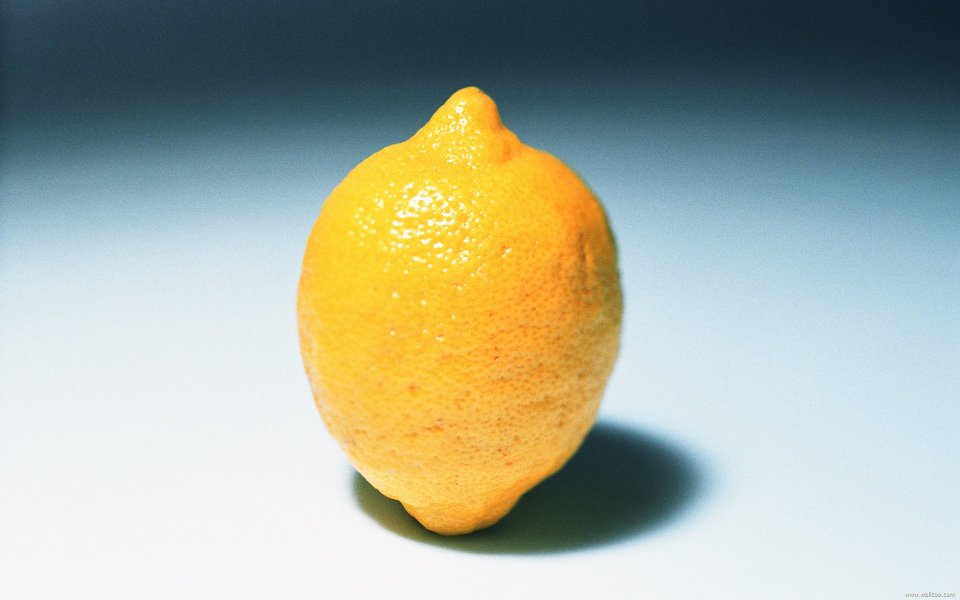 Lemon, close-up