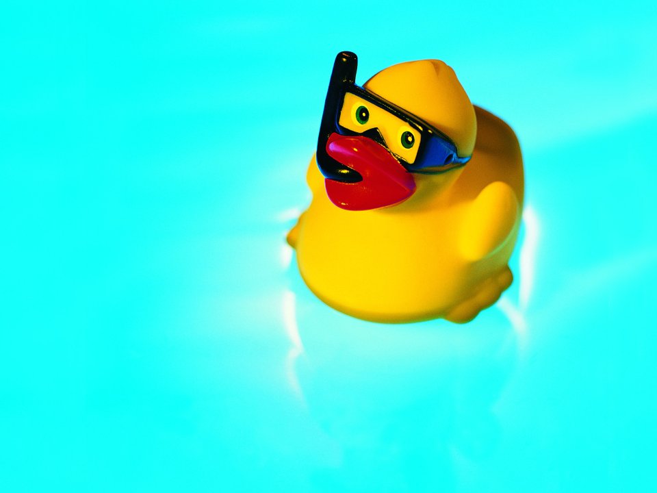 little_rubber_duck_on_water