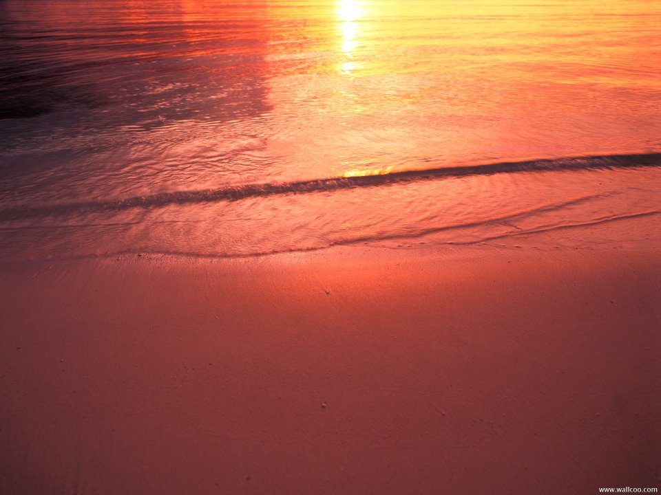 Maldives_Travel_01023