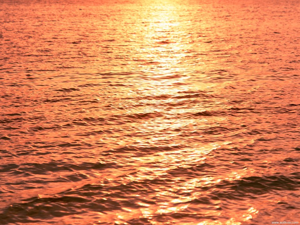 Maldives_Travel_01026