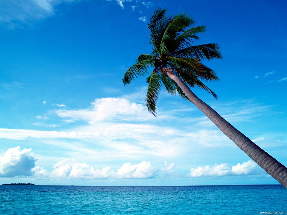 Maldives_Travel_02001