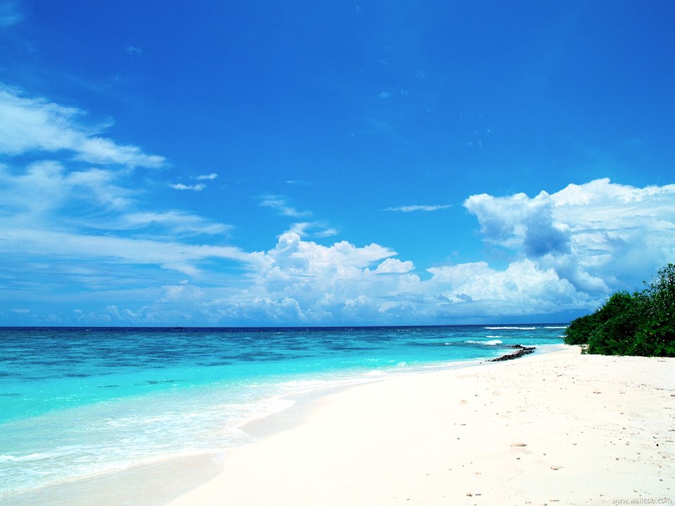 Maldives_Travel_02010