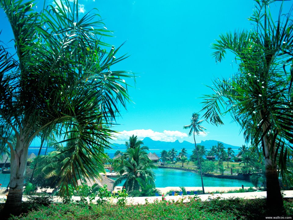 Maldives_Travel_02012