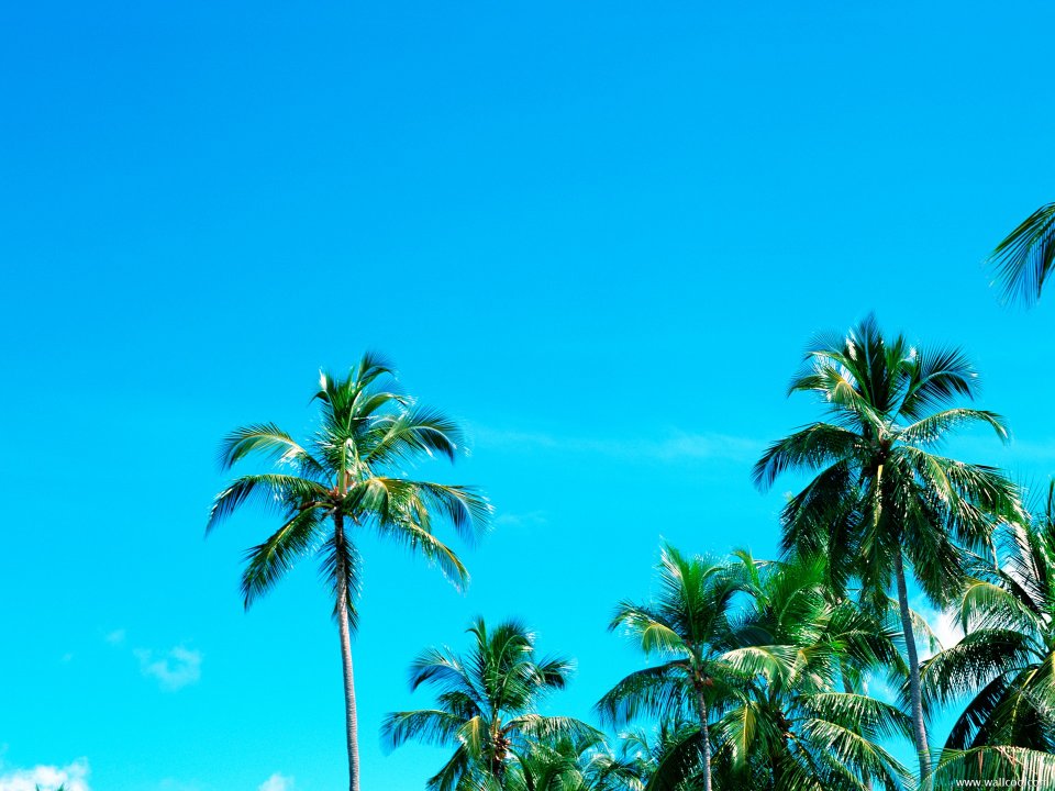 Maldives_Travel_03008