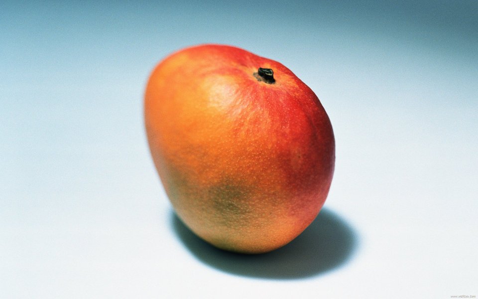 Mango, close-up
