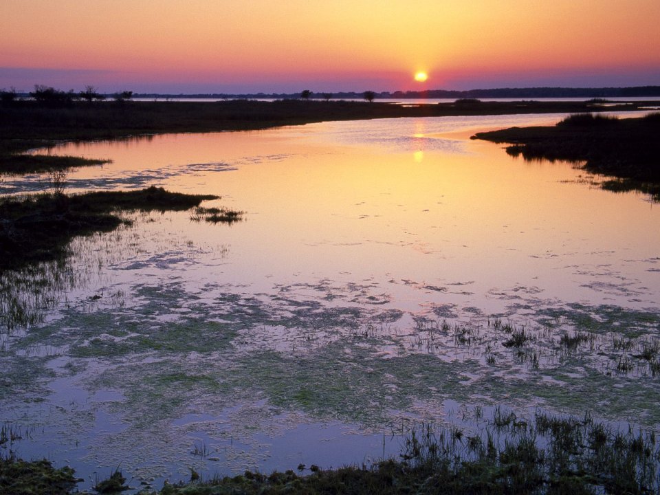 Marshlands_Sunset_Assateague_Island_Maryland