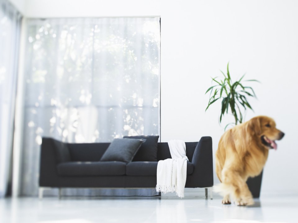 Modern_Lifestyle_Interiors_HL086