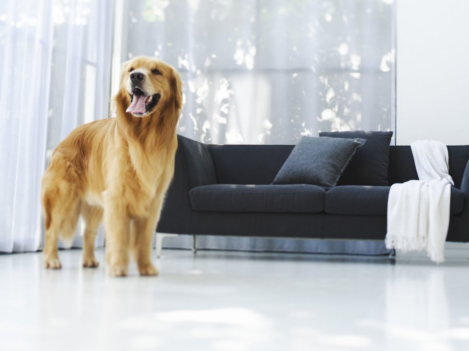 Modern Lifestyle Interiors Hl087