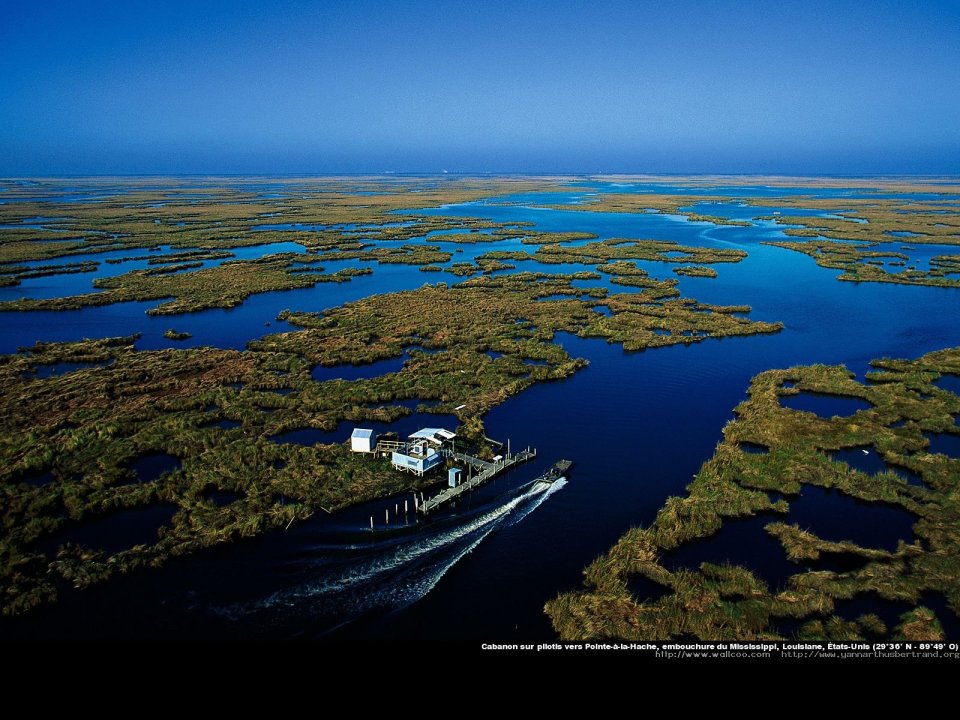 Mouth of the Mississippi river, Louisiana, United States