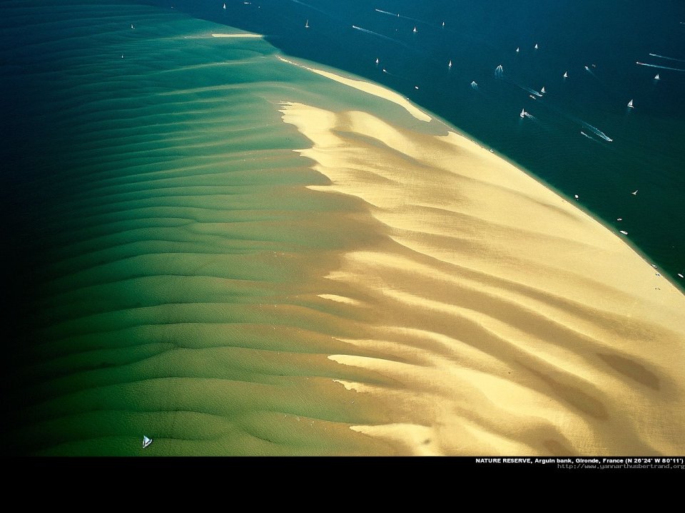 Nature reserve, Arguin bank, Gironde, France