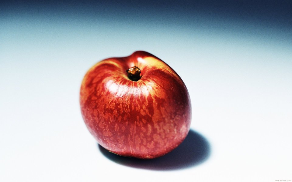 Nectarine, close-up