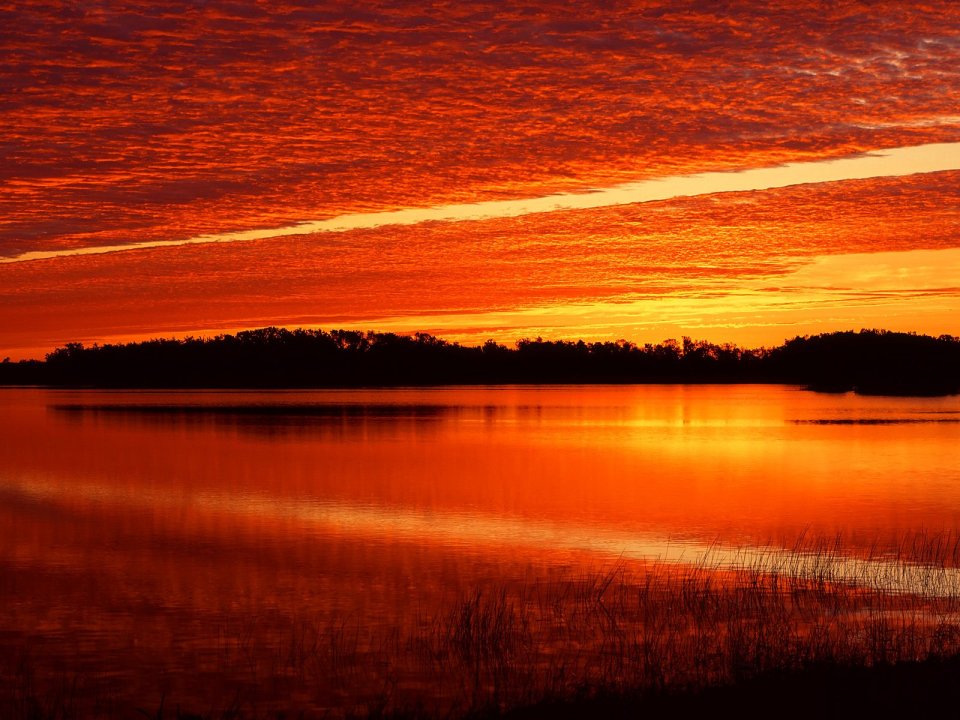 Nine_Mile_Pond_at_Sunrise_Everglades_Florida