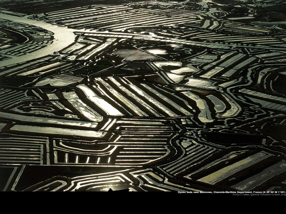 Oyster beds near Marennes, Charente-Maritime Department, France