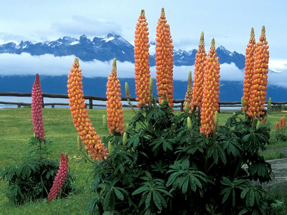 Patagonia_Argentina_hgoTJnbtQ5dk