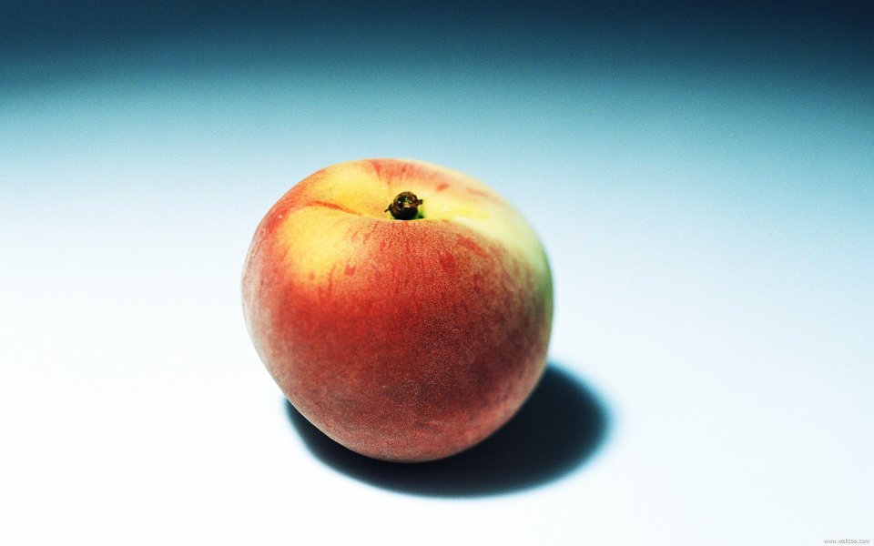 Peach, close-up
