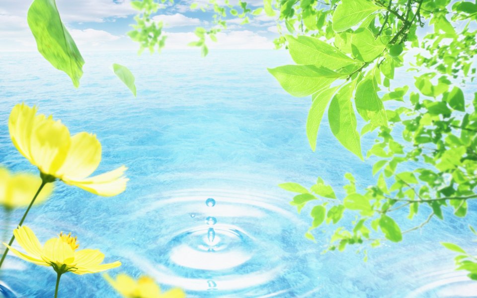 Photo manipulation of 01_Flower and Aqua 074_Greeny_Nature