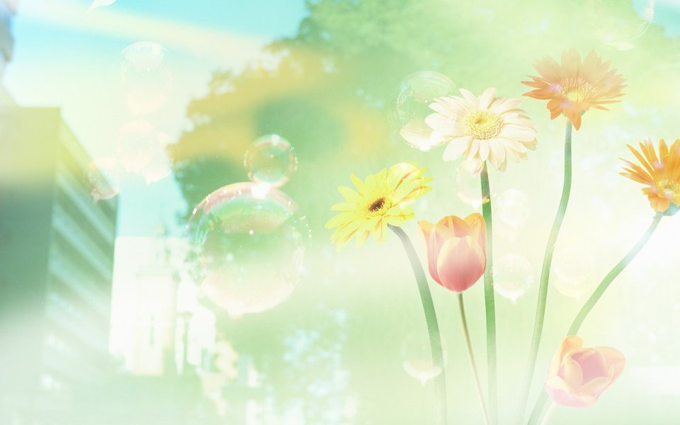 Photo manipulation of 01_Flower City 070_Greeny_Nature