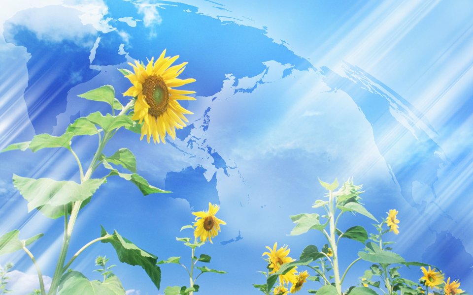 Photo manipulation of 01_Flower World012_City_in_Future