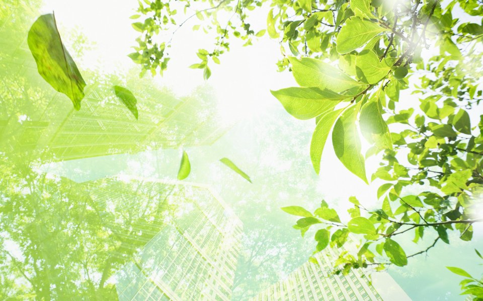 Photo manipulation of 01_Green City 028_City_in_Future