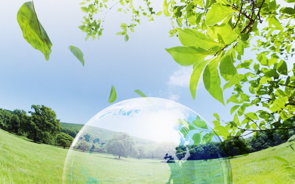Photo manipulation of 01_Green Earth 009_Greeny_Nature