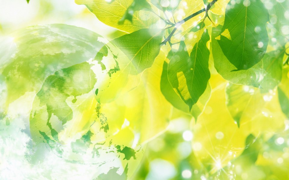 Photo manipulation of 01_Green Earth 170_Greeny_Nature