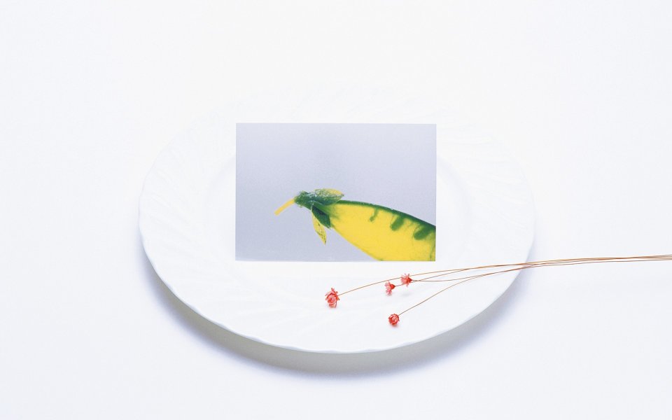Photo_manipulation_of_Fruits_and_Vegetables_MIL05120