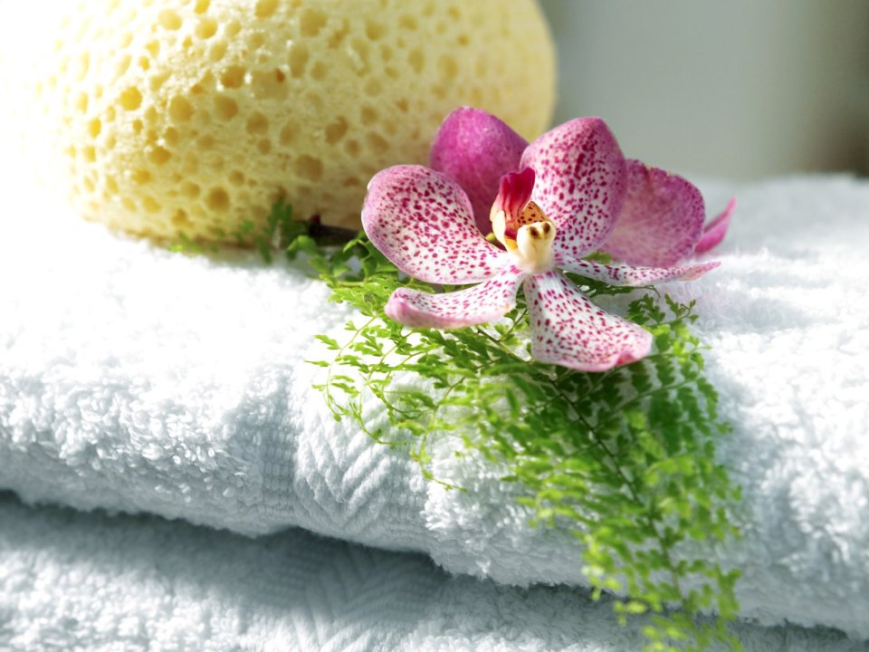 photograph_of_Bathroom_ispc045016
