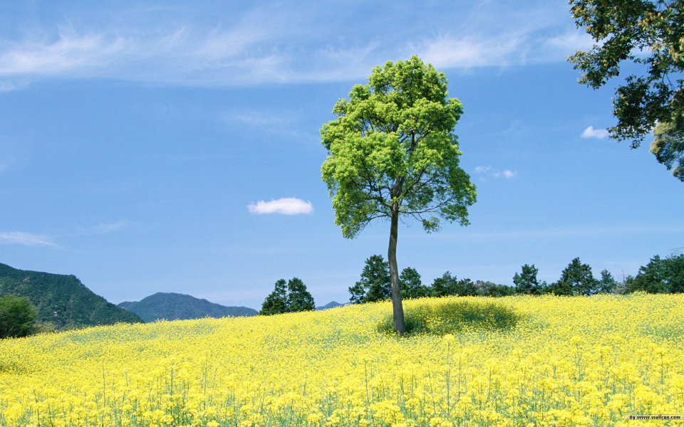 photos_of_People_and_Nature_wide_JD001_356A