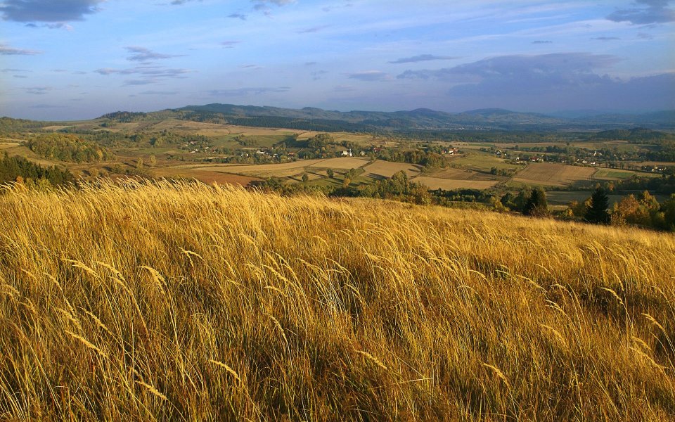 Poland, Szybowcowa Hill, Lower Silesia