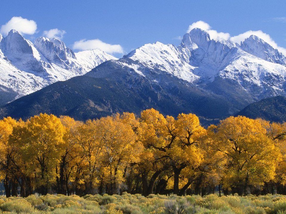 Rio_Grande_National_Forest_in_Autumn_Colorado