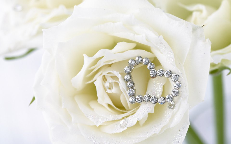 Romantic_Events_Flowers_photo_063a