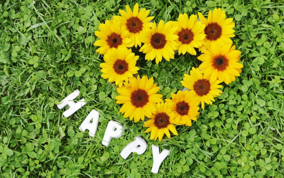 Romantic_Events_Flowers_photo_082