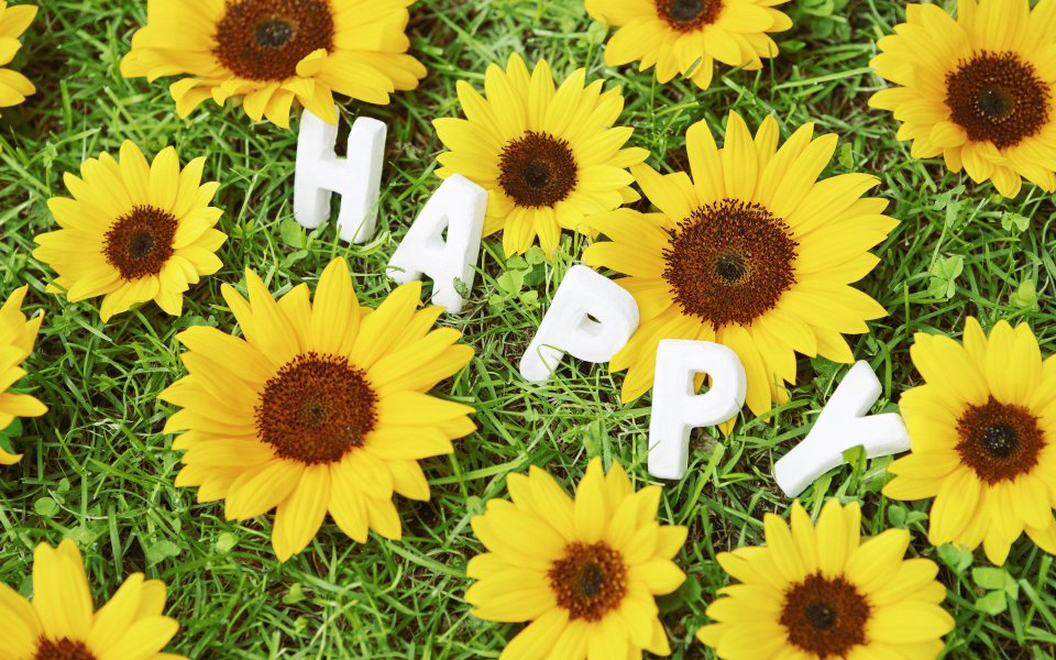 Romantic_Events_Flowers_photo_085