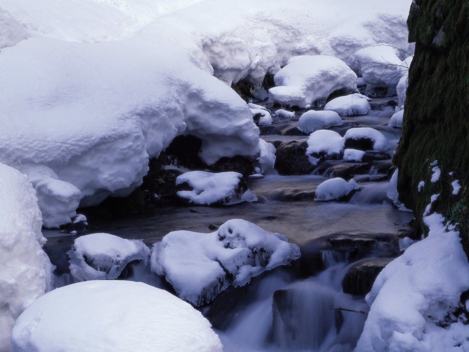 Snow_Winter_Scene_winter_snow_wallpapers_MIL50052_wallcoo.com