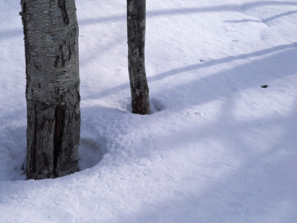 Snow_Winter_Scene_winter_snow_wallpapers_MIL50054_wallcoo.com