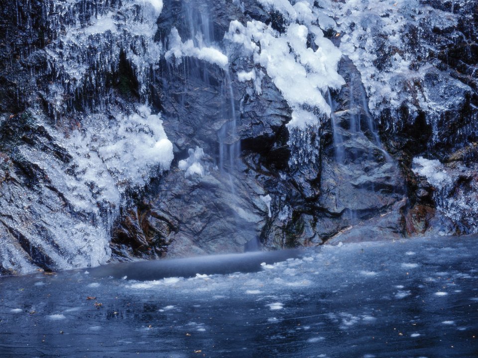Snow_Winter_Scene_winter_snow_wallpapers_MIL50058_wallcoo.com