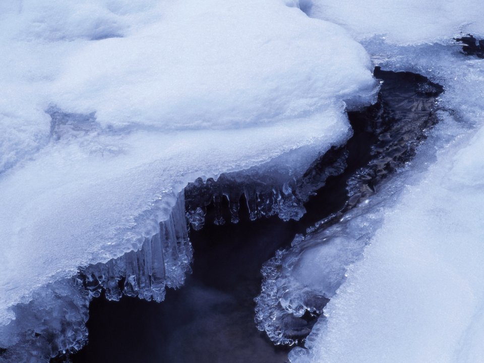 Snow_Winter_Scene_winter_snow_wallpapers_MIL50060_wallcoo.com