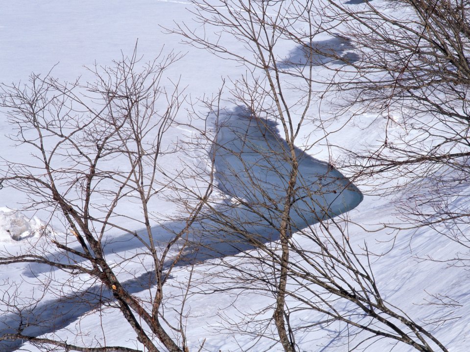Snow_Winter_Scene_winter_snow_wallpapers_MIL50061_wallcoo.com