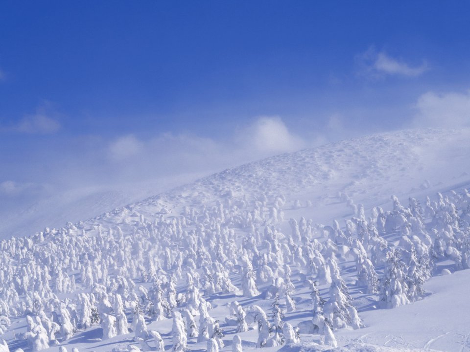 Snow_Winter_Scene_winter_snow_wallpapers_MIL50065_wallcoo.com