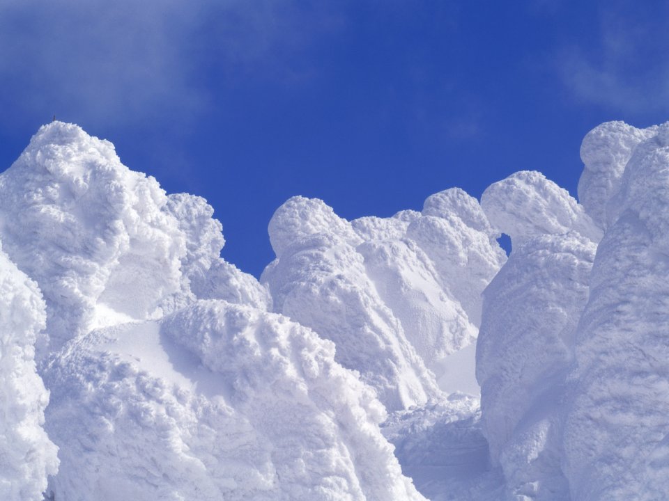 Snow_Winter_Scene_winter_snow_wallpapers_MIL50069_wallcoo.com