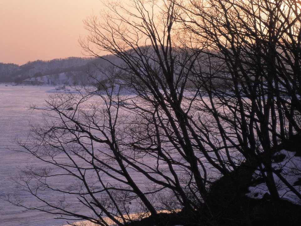 Snow_Winter_Scene_winter_snow_wallpapers_MIL50073_wallcoo.com