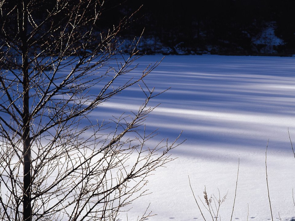 Snow_Winter_Scene_winter_snow_wallpapers_MIL50077_wallcoo.com