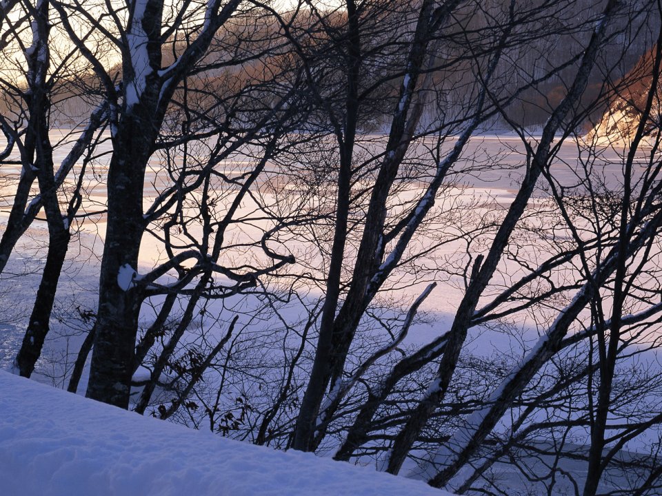 Snow_Winter_Scene_winter_snow_wallpapers_MIL50079_wallcoo.com