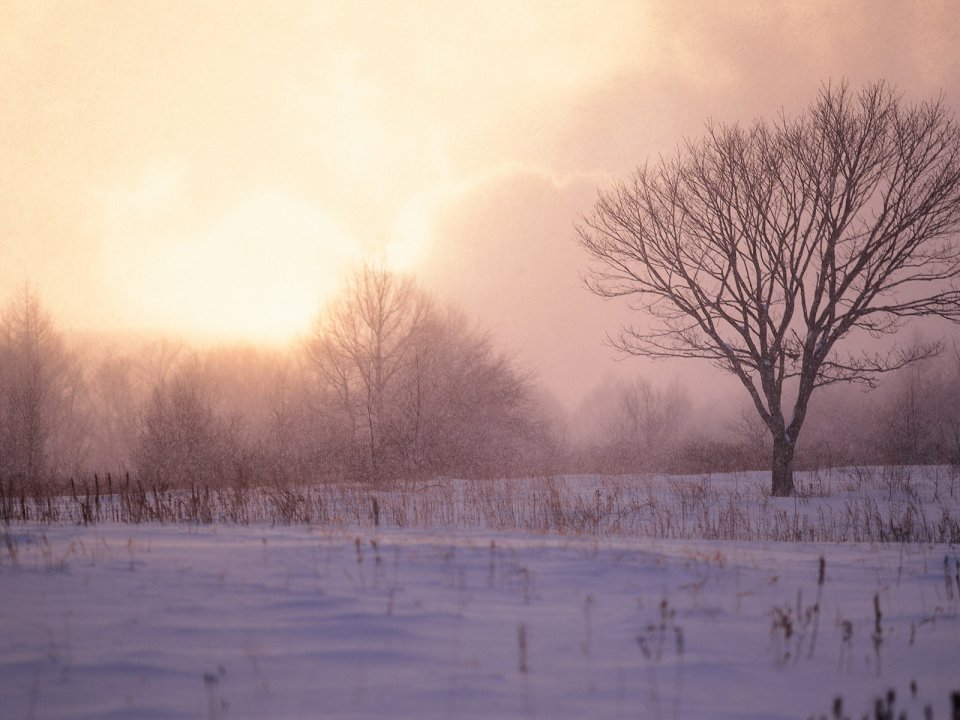Snow_Winter_Scene_winter_snow_wallpapers_MIL50081_wallcoo.com